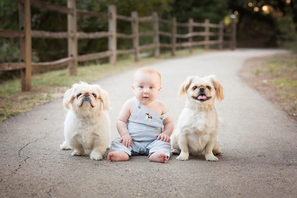 A baby sits on a path with two dogs.