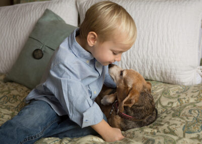 A young boy kissing a dog on a bed.