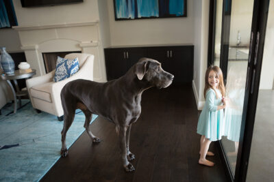 A girl is standing next to a large dog in a living room.