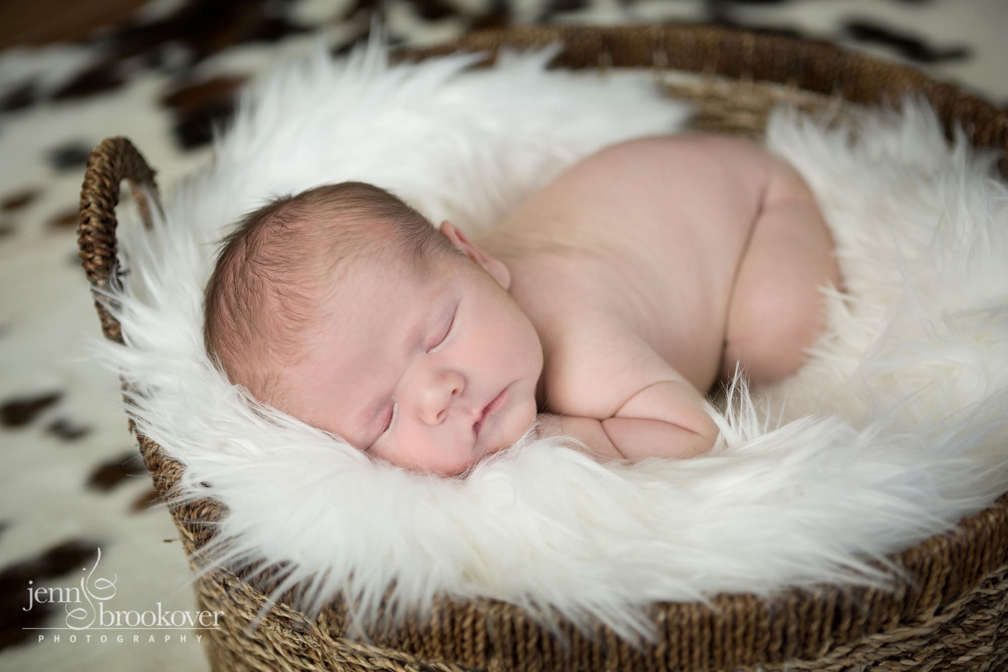 newborn boy on belly snuggling in fur during photo session, cow fur rug