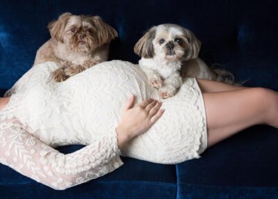 A pregnant woman laying on a blue couch with two dogs.