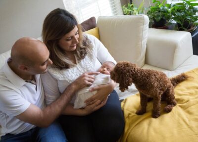 A man and woman holding a baby on a couch with a dog.