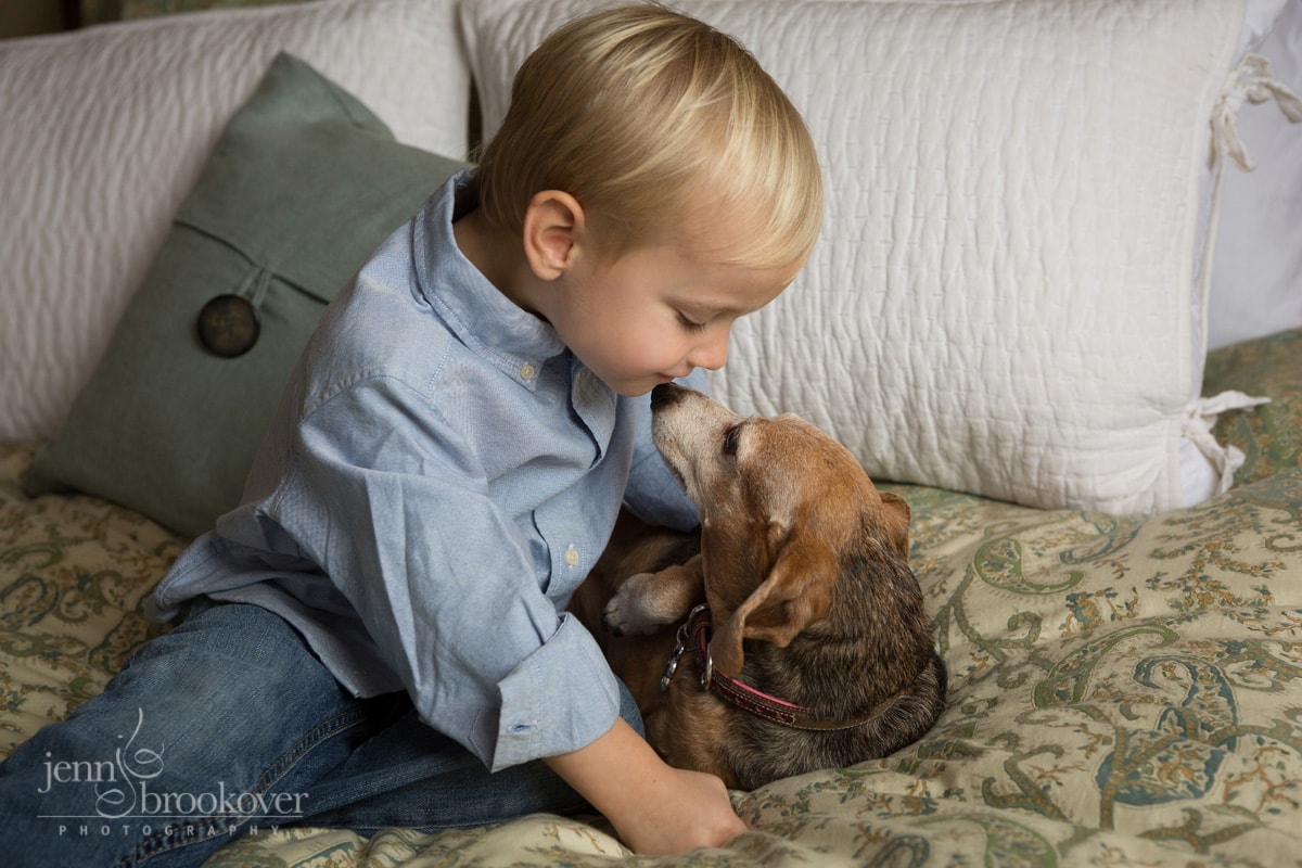 boy and dog on bed smiling during portrait session at home