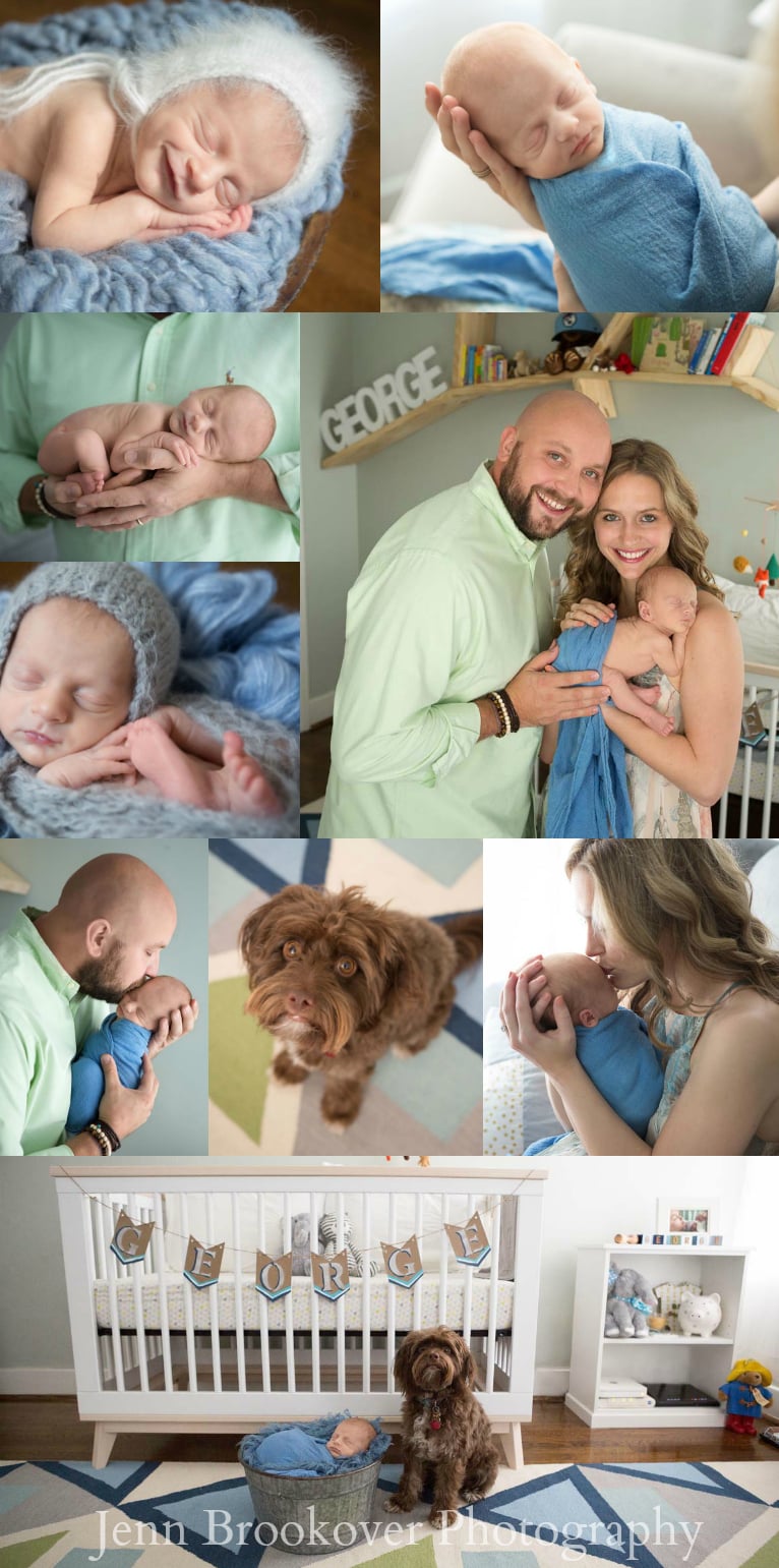 newborn session at home featuring colors of the nursery, cornflower blue, green, gray and white (cute puppy, too)